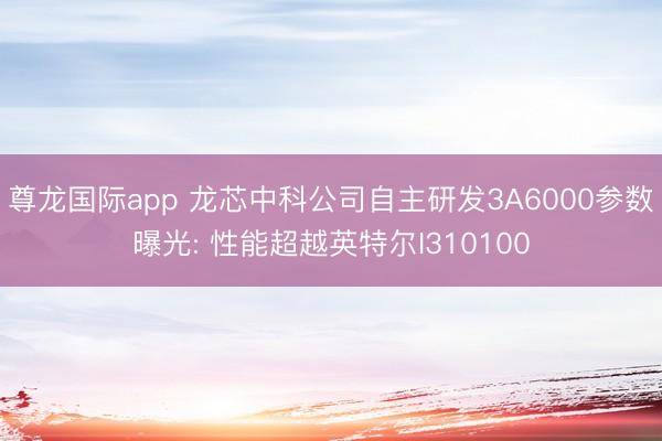 尊龙国际app 龙芯中科公司自主研发3A6000参数曝光: 性能超越英特尔I310100