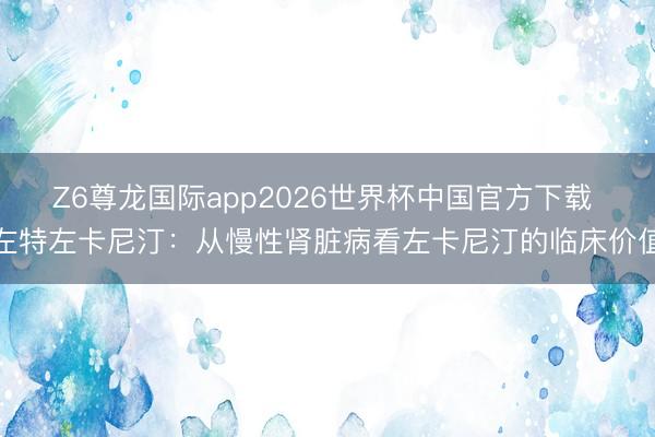 Z6尊龙国际app2026世界杯中国官方下载 左特左卡尼汀:从慢性肾脏病看左卡尼汀的临床价值