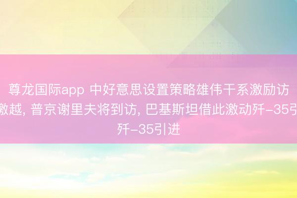 尊龙国际app 中好意思设置策略雄伟干系激励访华激越, 普京谢里夫将到访, 巴基斯坦借此激动歼-35引进