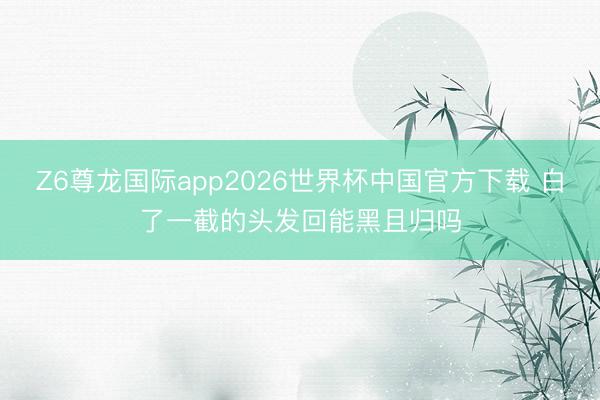Z6尊龙国际app2026世界杯中国官方下载 白了一截的头发回能黑且归吗