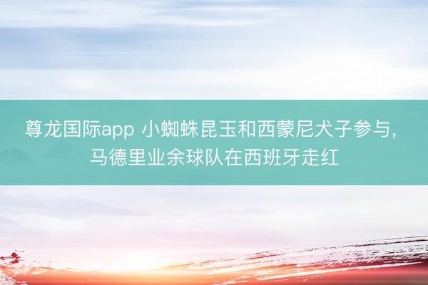 尊龙国际app 小蜘蛛昆玉和西蒙尼犬子参与， 马德里业余球队在西班牙走红