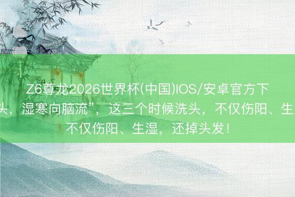 Z6尊龙2026世界杯(中国)IOS/安卓官方下载 “三连续洗头,湿寒向脑流”,这三个时候洗头,不仅伤阳、生湿,还掉头发!