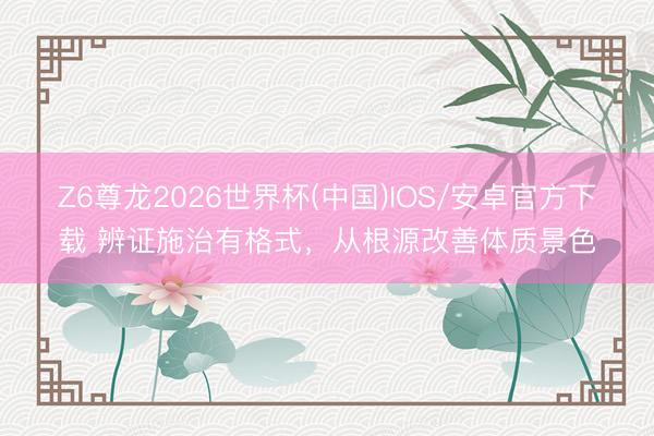 Z6尊龙2026世界杯(中国)IOS/安卓官方下载 辨证施治有格式,从根源改善体质景色