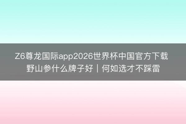 Z6尊龙国际app2026世界杯中国官方下载 野山参什么牌子好|何如选才不踩雷