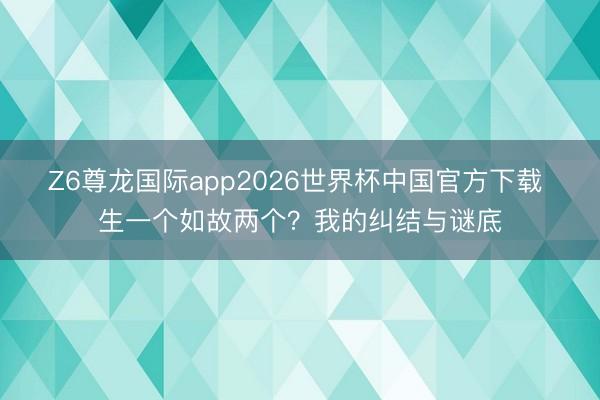 Z6尊龙国际app2026世界杯中国官方下载 生一个如故两个?我的纠结与谜底