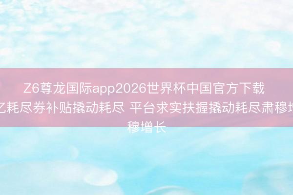 Z6尊龙国际app2026世界杯中国官方下载 百亿耗尽券补贴撬动耗尽 平台求实扶握撬动耗尽肃穆增长