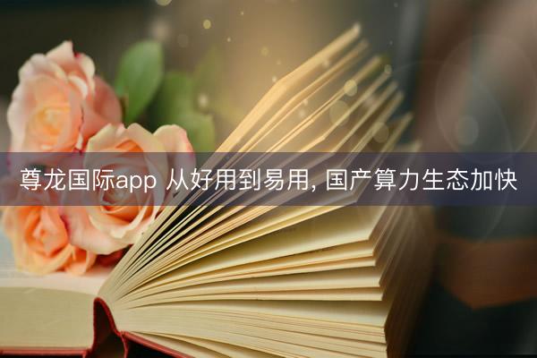 尊龙国际app 从好用到易用, 国产算力生态加快