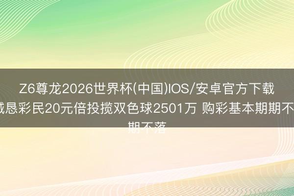 Z6尊龙2026世界杯(中国)IOS/安卓官方下载 诚恳彩民20元倍投揽双色球2501万 购彩基本期期不落