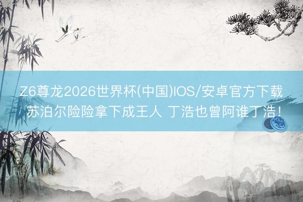 Z6尊龙2026世界杯(中国)IOS/安卓官方下载 苏泊尔险险拿下成王人 丁浩也曾阿谁丁浩!