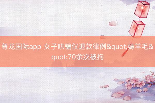 尊龙国际app 女子哄骗仅退款律例"薅羊毛"70余次被拘