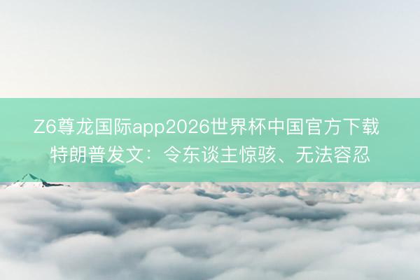 Z6尊龙国际app2026世界杯中国官方下载 特朗普发文:令东谈主惊骇、无法容忍