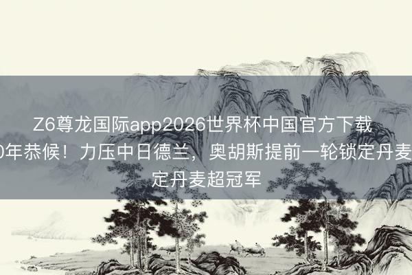 Z6尊龙国际app2026世界杯中国官方下载 闭幕40年恭候!力压中日德兰,奥胡斯提前一轮锁定丹麦超冠军