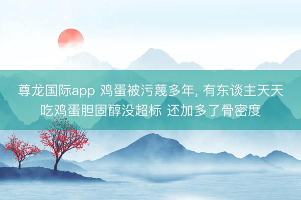 尊龙国际app 鸡蛋被污蔑多年, 有东谈主天天吃鸡蛋胆固醇没超标 还加多了骨密度