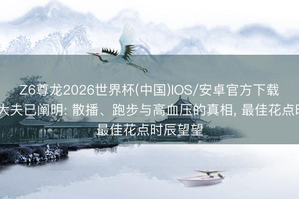 Z6尊龙2026世界杯(中国)IOS/安卓官方下载 三百名大夫已阐明: 散播、跑步与高血压的真相, 最佳花点时辰望望