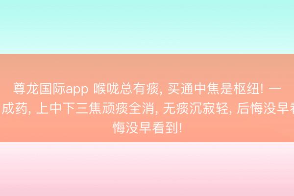 尊龙国际app 喉咙总有痰, 买通中焦是枢纽! 一个中成药, 上中下三焦顽痰全消, 无痰沉寂轻, 后悔没早看到!