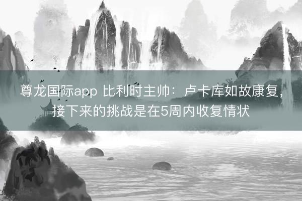 尊龙国际app 比利时主帅：卢卡库如故康复，接下来的挑战是在5周内收复情状