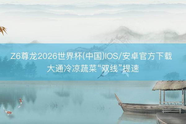 Z6尊龙2026世界杯(中国)IOS/安卓官方下载 大通冷凉蔬菜“双线”提速