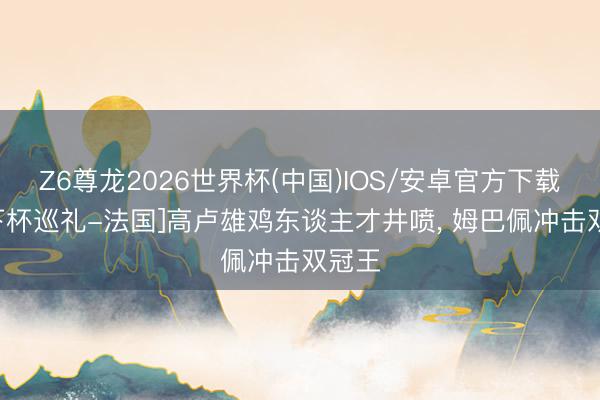 Z6尊龙2026世界杯(中国)IOS/安卓官方下载 [天下杯巡礼-法国]高卢雄鸡东谈主才井喷， 姆巴佩冲击双冠王