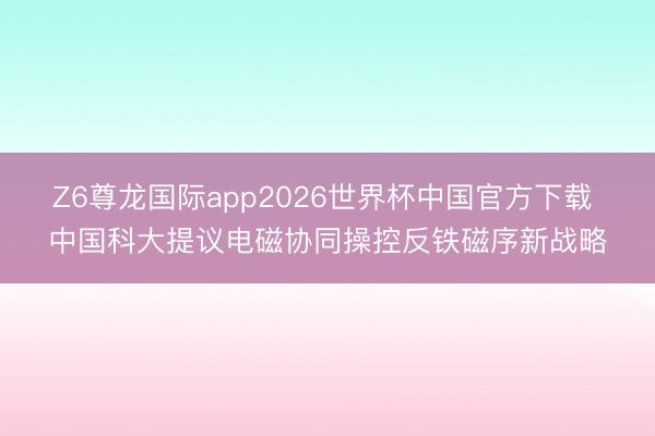 Z6尊龙国际app2026世界杯中国官方下载 中国科大提议电磁协同操控反铁磁序新战略