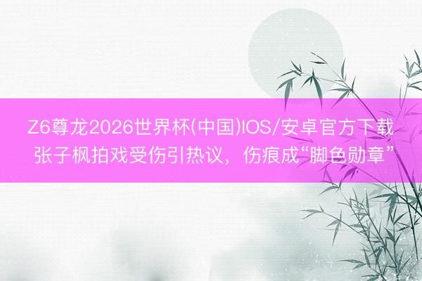 Z6尊龙2026世界杯(中国)IOS/安卓官方下载 张子枫拍戏受伤引热议,伤痕成“脚色勋章”