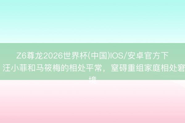 Z6尊龙2026世界杯(中国)IOS/安卓官方下载 汪小菲和马筱梅的相处平常,窒碍重组家庭相处窘境