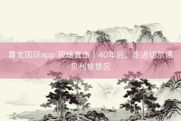 尊龙国际app 现场直击|40年后,走进切尔诺贝利核禁区
