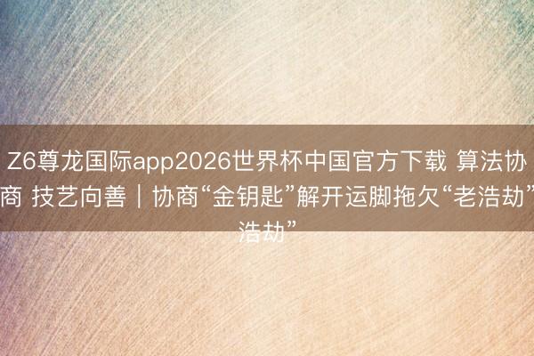 Z6尊龙国际app2026世界杯中国官方下载 算法协商 技艺向善|协商“金钥匙”解开运脚拖欠“老浩劫”