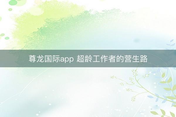 尊龙国际app 超龄工作者的营生路