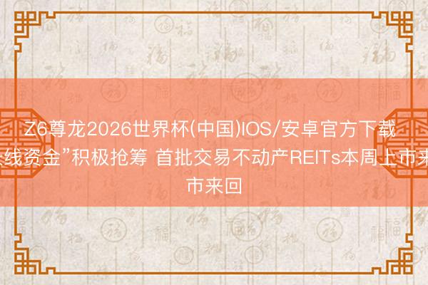 Z6尊龙2026世界杯(中国)IOS/安卓官方下载 “长线资金”积极抢筹 首批交易不动产REITs本周上市来回