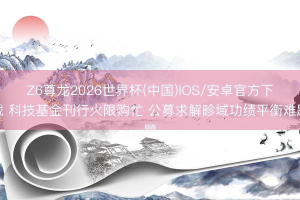 Z6尊龙2026世界杯(中国)IOS/安卓官方下载 科技基金刊行火限购忙 公募求解畛域功绩平衡难题