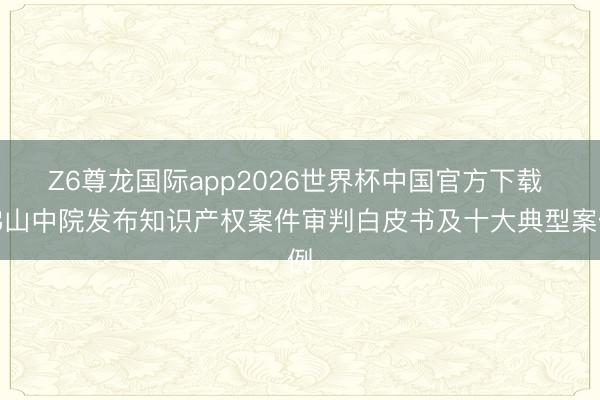 Z6尊龙国际app2026世界杯中国官方下载 佛山中院发布知识产权案件审判白皮书及十大典型案例