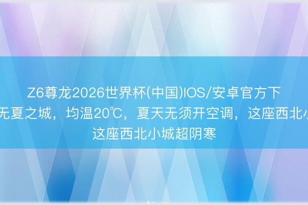 Z6尊龙2026世界杯(中国)IOS/安卓官方下载 中国的无夏之城,均温20℃,夏天无须开空调,这座西北小城超阴寒