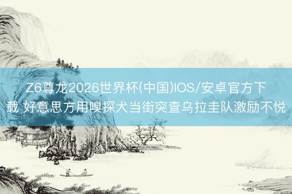 Z6尊龙2026世界杯(中国)IOS/安卓官方下载 好意思方用嗅探犬当街突查乌拉圭队激励不悦