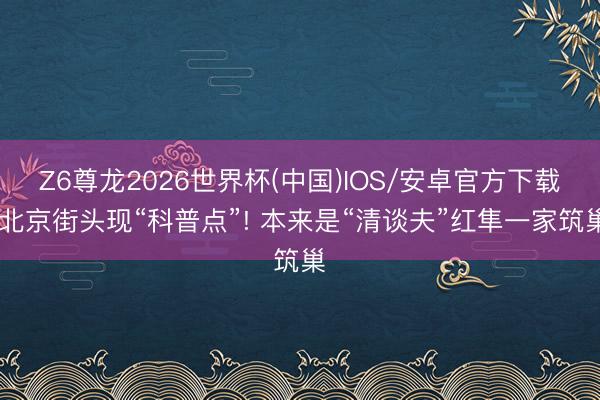 Z6尊龙2026世界杯(中国)IOS/安卓官方下载 北京街头现“科普点”! 本来是“清谈夫”红隼一家筑巢