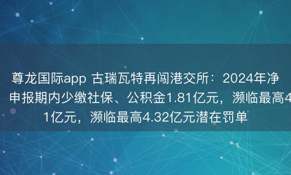 尊龙国际app 古瑞瓦特再闯港交所:2024年净利润下滑逾97%,申报期内少缴社保、公积金1.81亿元,濒临最高4.32亿元潜在罚单