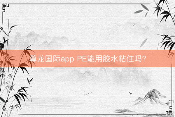 尊龙国际app PE能用胶水粘住吗?
