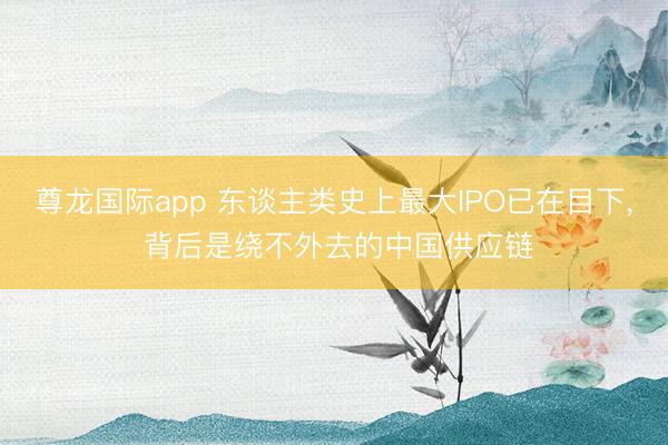 尊龙国际app 东谈主类史上最大IPO已在目下, 背后是绕不外去的中国供应链