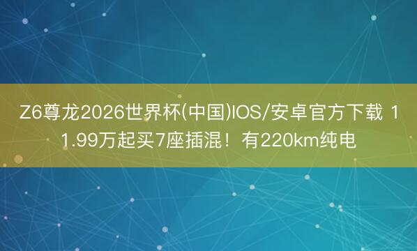 Z6尊龙2026世界杯(中国)IOS/安卓官方下载 11.99万起买7座插混!有220km纯电